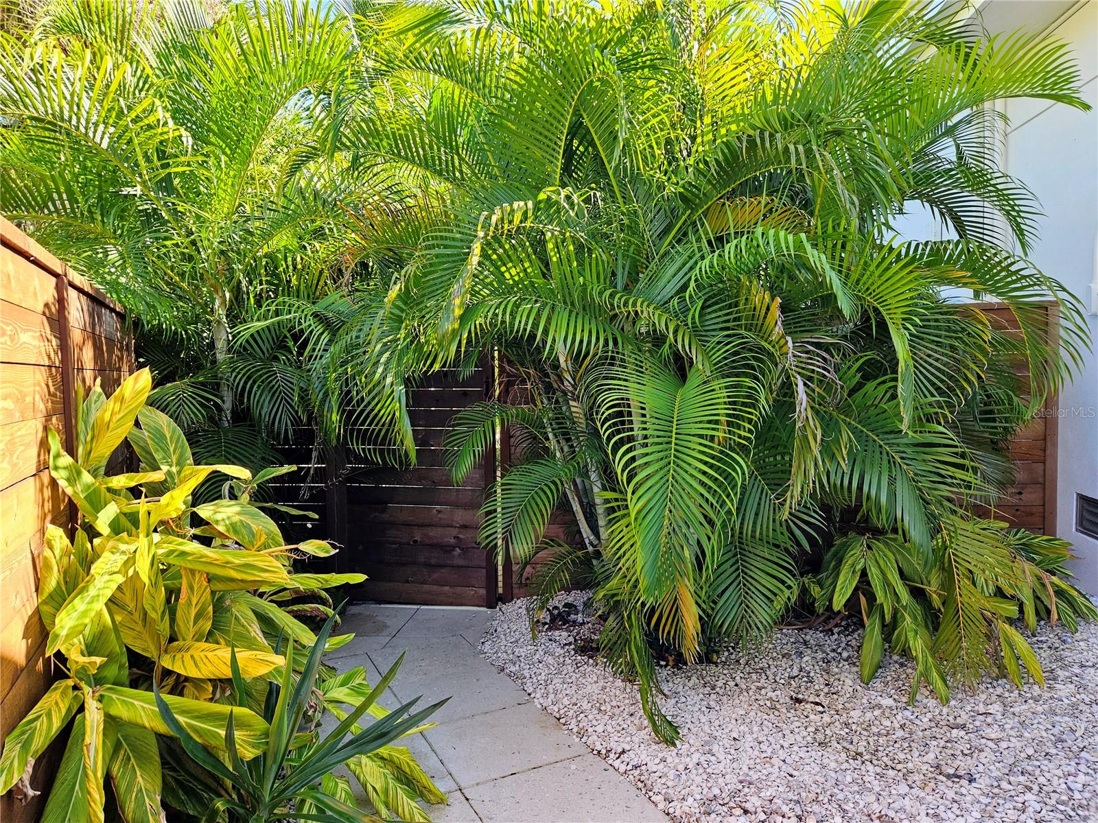 PHILLIPPI COVE - Residential Lease
