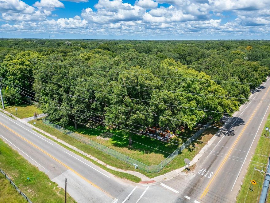 Excellent investment opportunity in Thonotosassa, FL!
Corner commercial lot with a prime location, ideal for developing your next project: gas station, restaurant, retail store, offices, or mini-mall.
Located in a high-traffic, highly visible area, close to major thoroughfares and growing residential areas.
Don't miss the opportunity to be one of the first to launch your next business.