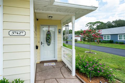 A home in ZEPHYRHILLS