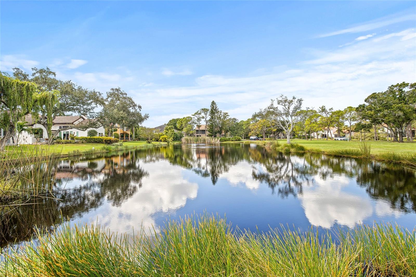 PLACIDO BAYOU - Residential