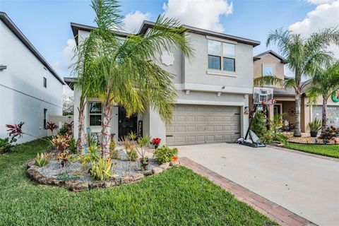 A home in APOLLO BEACH