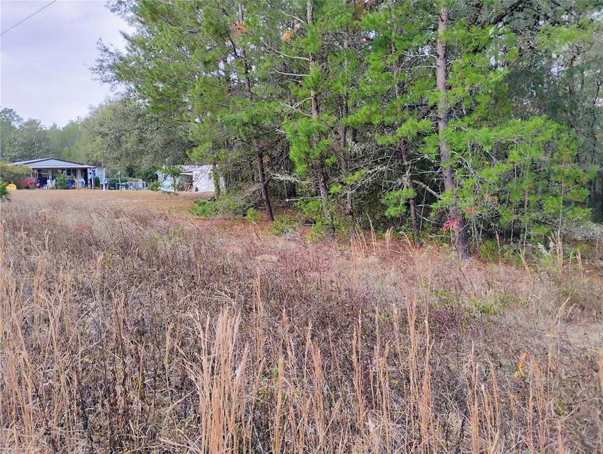 Nice Buildable lot not in Wetlands, No Wetlands please check with county on what usage is allowed, single family and mobile homes are in the area, has access close by to power pole, needs well and septic, owner financing with 50% down, growing area act now before it' to late..