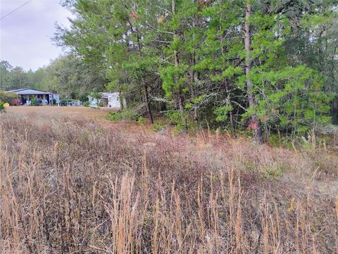 309 WILSON DRIVE INTERLACHEN FL 32148