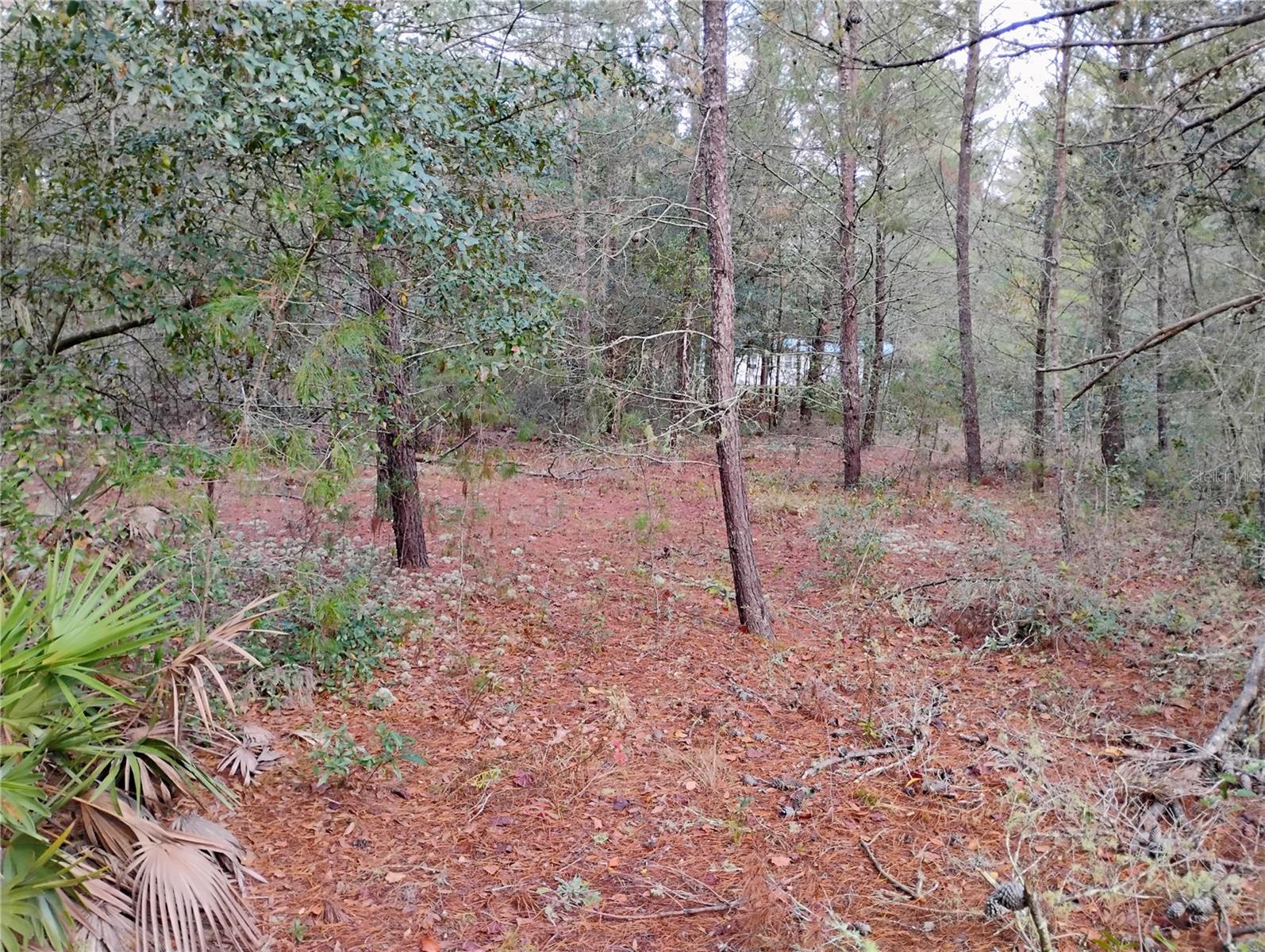 INTERLACHEN LAKES ESTATES - Land