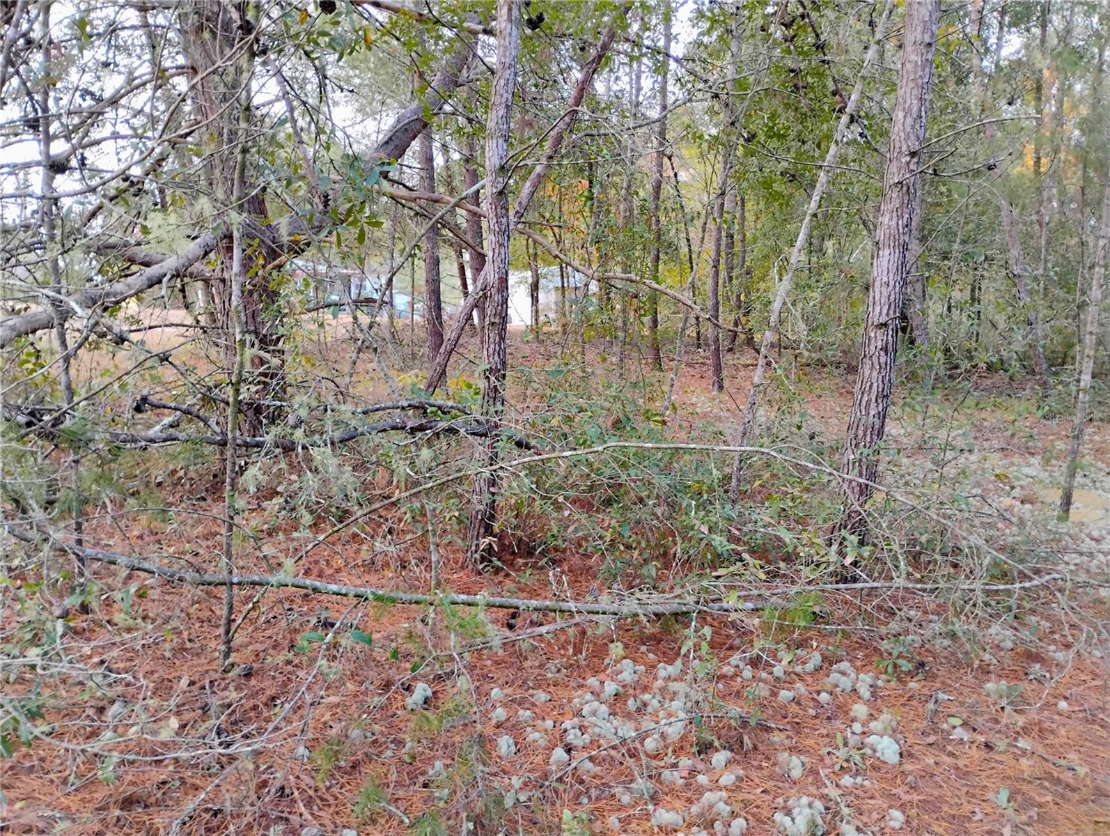 INTERLACHEN LAKES ESTATES - Land