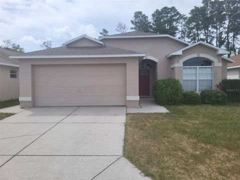 Photo of 7916 Floradora Drive, New Port Richey, FL 34654 (MLS # O6400104)