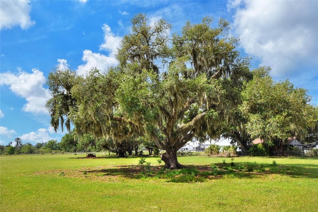 Photo of 0 Dorman Road, Lithia, FL 33547 (MLS # TB8500275)