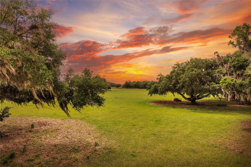 Absolutely stunning 9± acre homesite just outside of FishHawk! This exceptional property is highlighted by three majestic, sprawling oak trees that provide natural shade, timeless character, and undeniable charm—while still leaving plenty of wide-open space for a thriving pasture, additional structures, or future expansion. With just under 10 acres, this property hits the perfect balance—offering ample room for a small-scale farm, private family homestead, or simply the peace and privacy that comes with having space between you and your neighbors. Ideally located less than three miles from FishHawk’s dining, grocery stores, and top-rated schools, you’ll enjoy the best of both worlds: serene country living with everyday conveniences just minutes away.