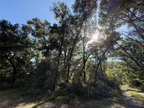 Tiny photo for Xx SE 35th Court, Summerfield, FL 34491 (MLS # O6420206)