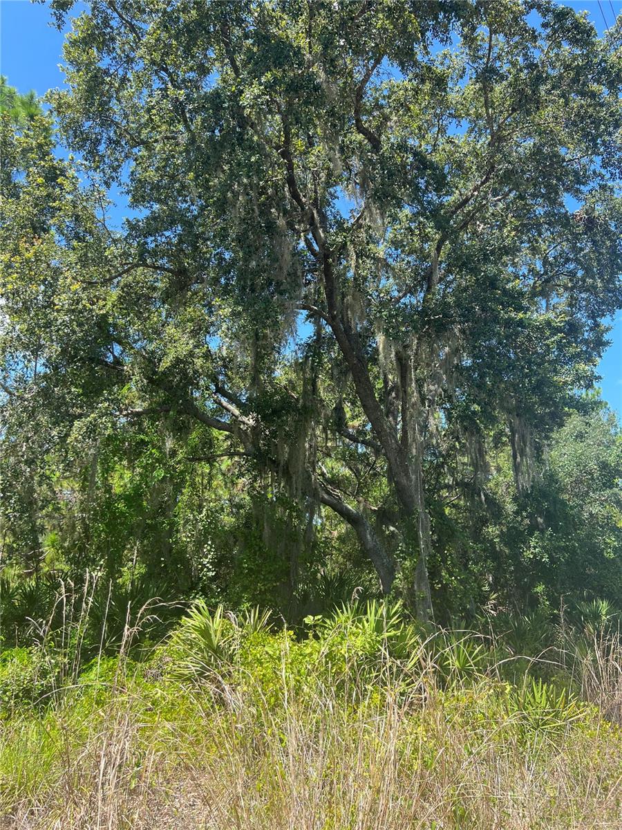 Photo of 0 Granada Drive, Indian Lake Estates, FL 33855 (MLS # O6431504)