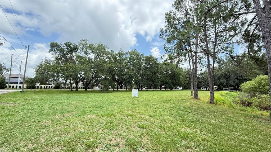 Photo of 29956 New Dutch Lane, Wesley Chapel, FL 33545 (MLS # T3547929)