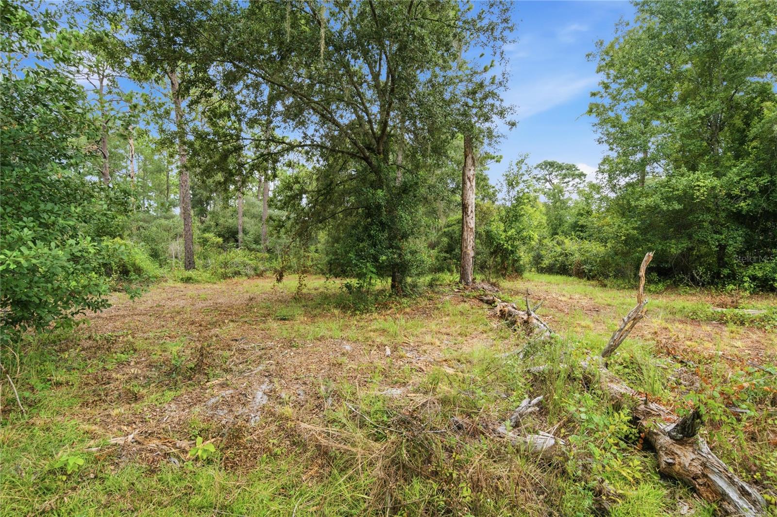 8565 SW 156TH PLACE