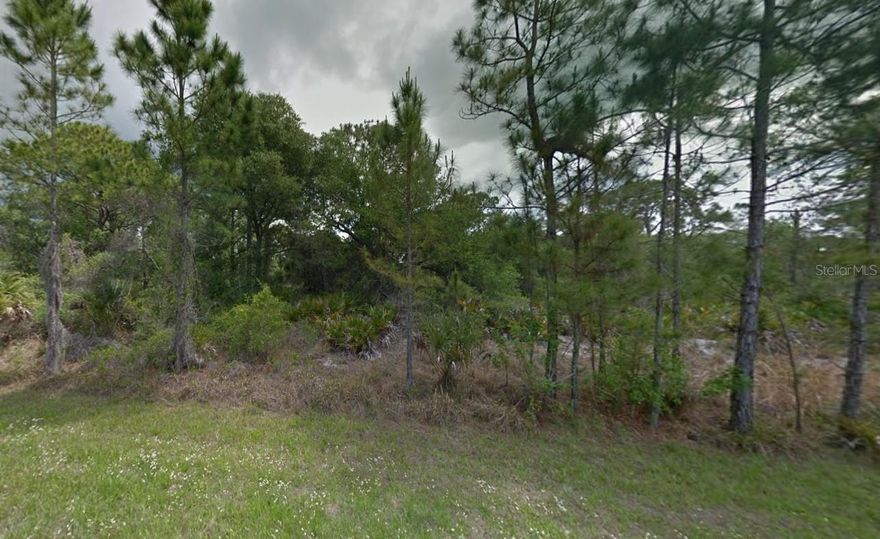 Better buy now before prices start increasing! This Property was surveyed in 2023 and trees were flagged! Electric service is available, and well and septic system will be required. Just a stone's throw from the Myakka River with lots of outdoor Florida activities such as kayaking or fishing. Also conveniently located near area shopping, restaurants and a quick drive to area beaches! This lot is not currently located in a scrub jay habitat per the Charlotte County GIS site, but please reconfirm during due diligence. Invest in your future now!