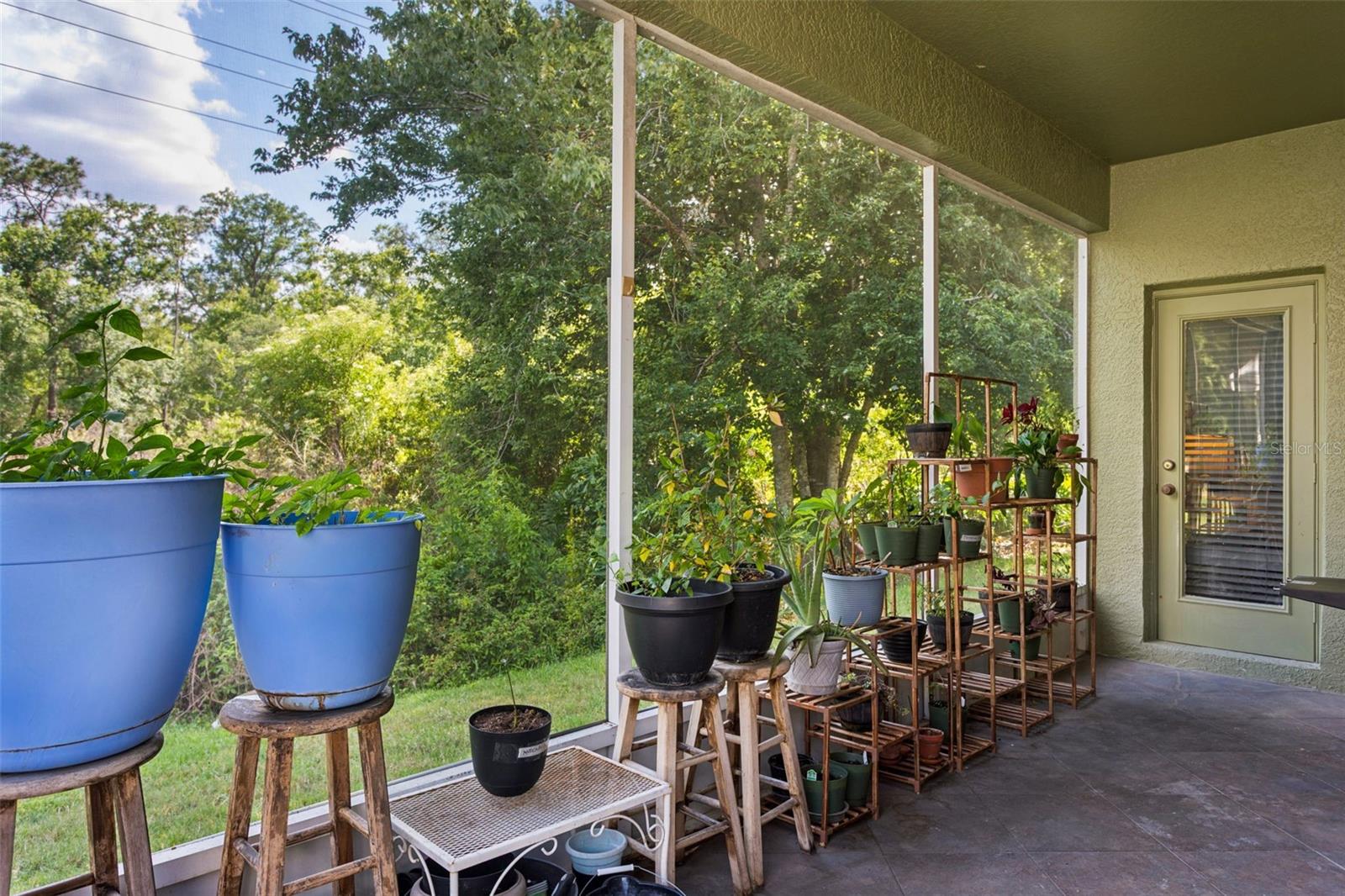 PLANTATION PALMS PH 02B - Residential