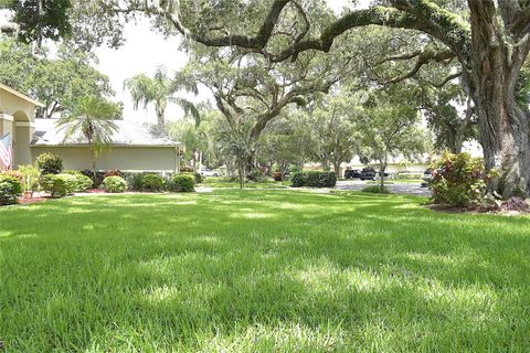 A home in VALRICO