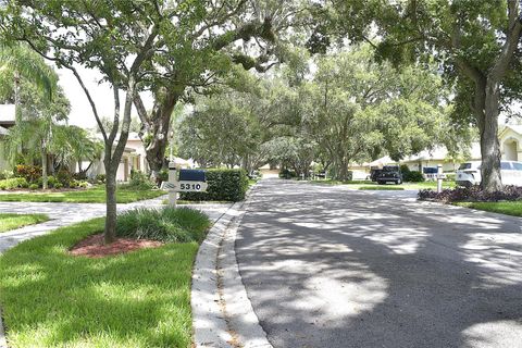 A home in VALRICO