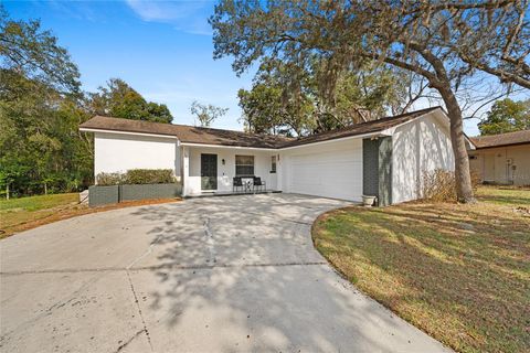 Photo of 1080 Grizzly Court, Apopka, FL 32712 (MLS # O6385008)