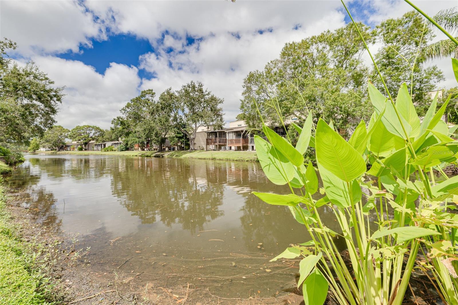 LAKE FOREST CONDO - Residential