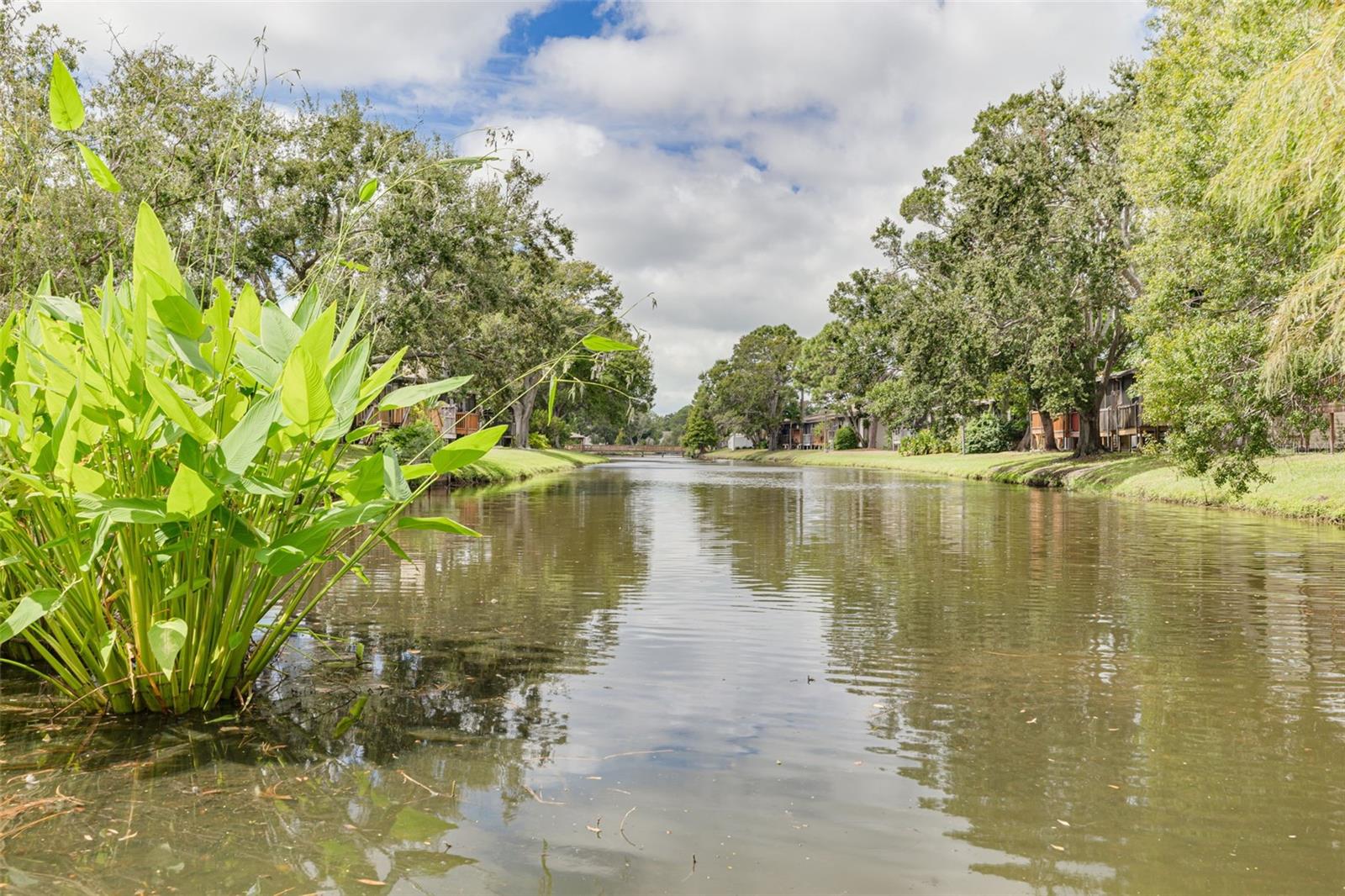LAKE FOREST CONDO - Residential