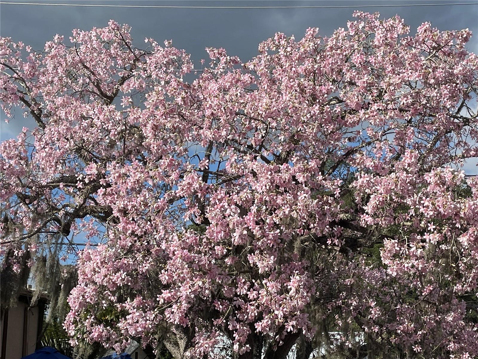 VIZCAYA PH 1,2,3,4,5,7,9,12,13,15&16 - Residential