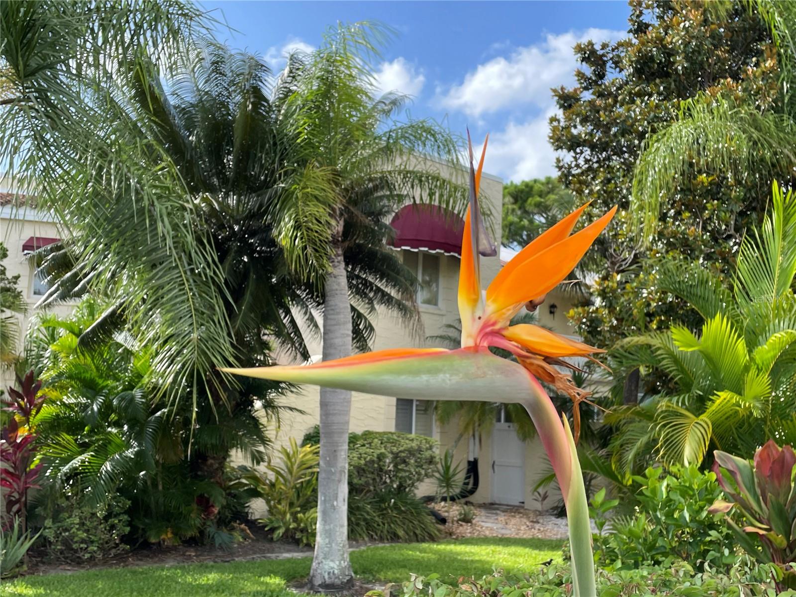 VIZCAYA PH 1,2,3,4,5,7,9,12,13,15&16 - Residential