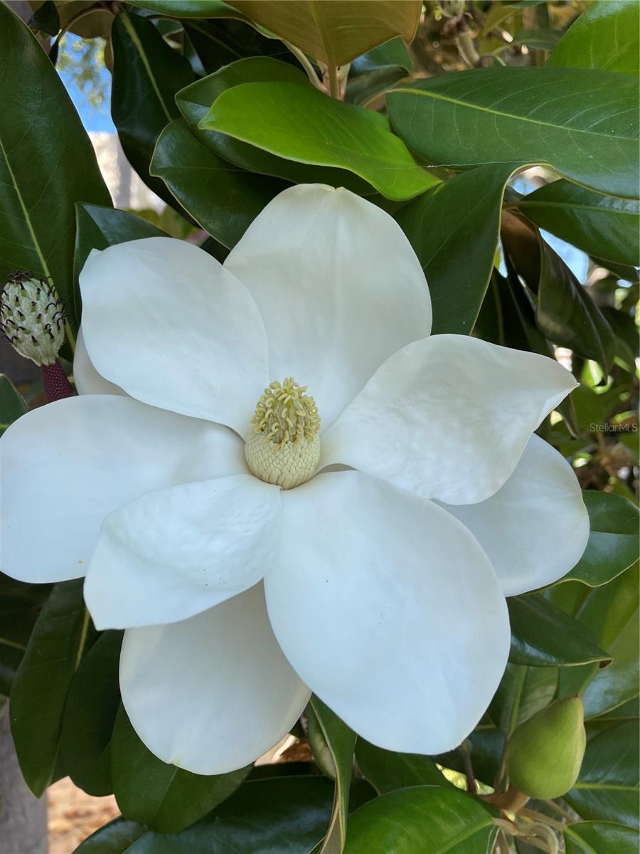 VIZCAYA PH 1,2,3,4,5,7,9,12,13,15&16 - Residential