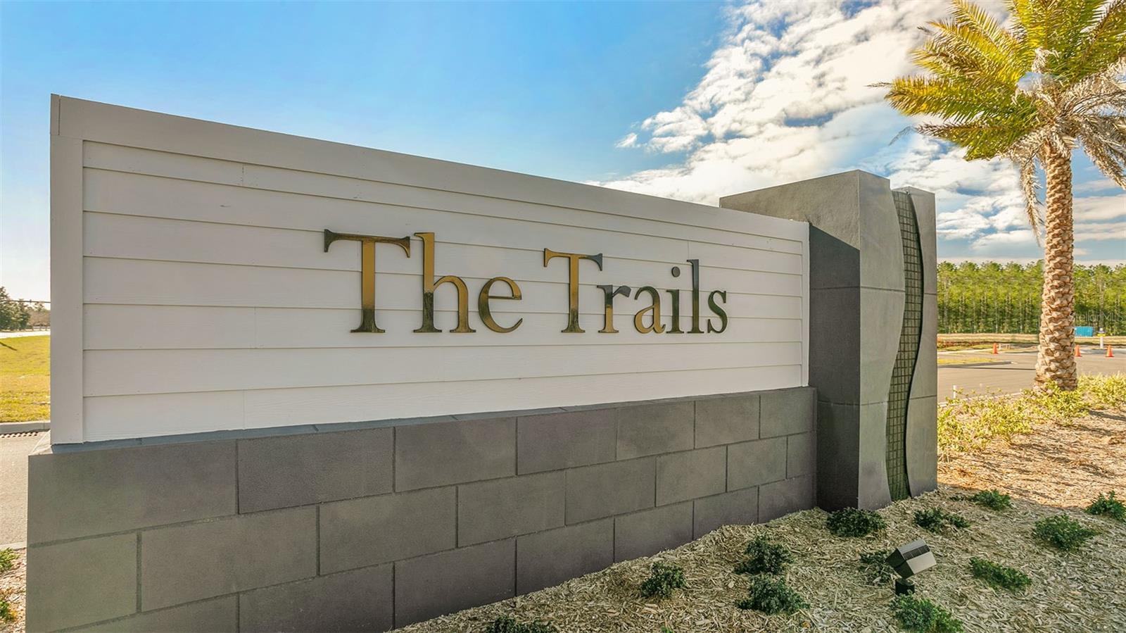 THE TRAILS - Residential