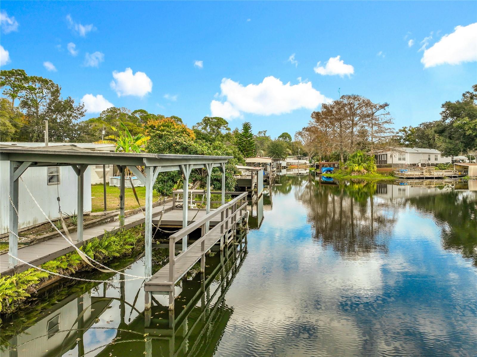 EAST LAKE HARRIS ESTATES - Residential