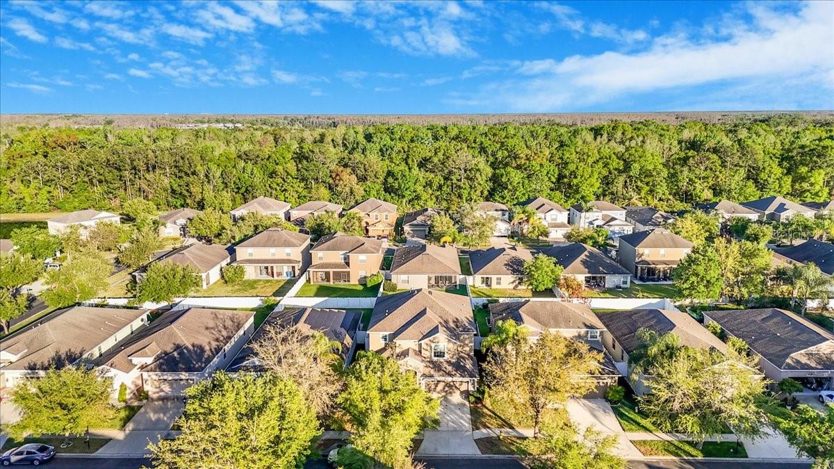 20427 CAROLINA CHERRY COURT