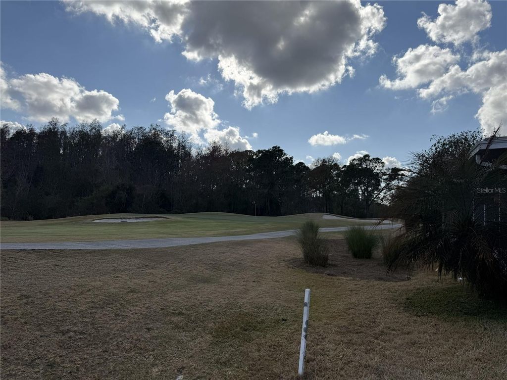 Photo of 29402 Princeville Drive, San Antonio, FL 33576 (MLS # TB8482102)