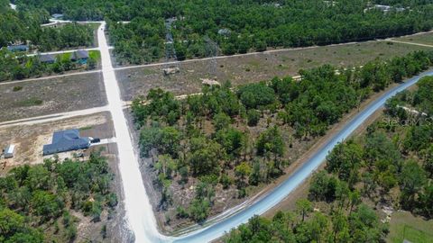 00 DUSKY WARBLER ROAD BROOKSVILLE FL 34614
