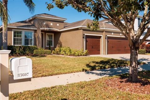 Photo of 13607 Artesa Bell Drive, Riverview, FL 33579 (MLS # TB8452842)