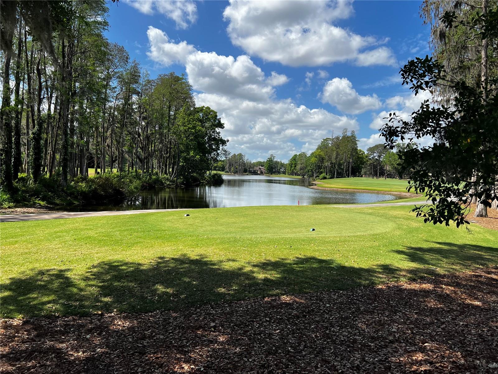 AVILA UN #11G - Residential