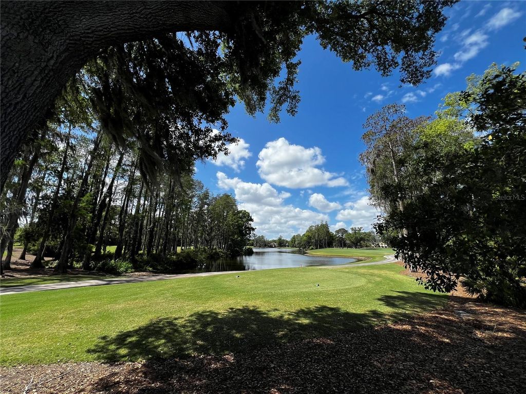 Photo of 16912 Villalagos De Avila, Lutz, FL 33548 (MLS # TB8492892)