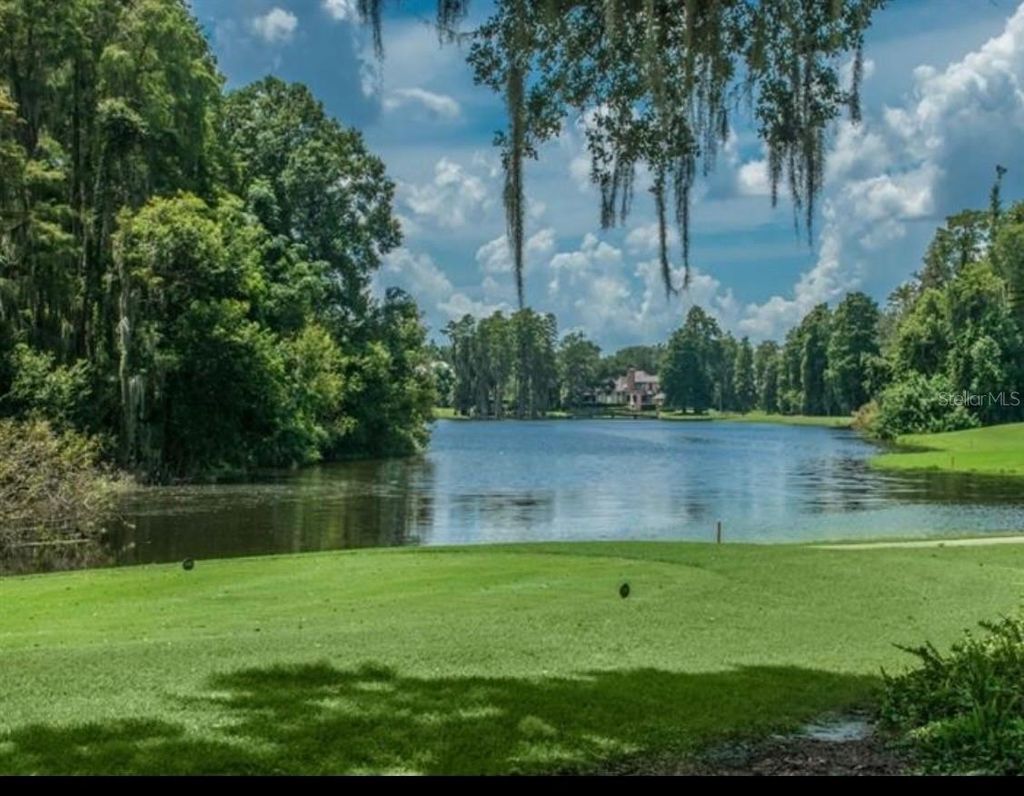 Photo of 16912 Villalagos De Avila, Lutz, FL 33548 (MLS # TB8492892)