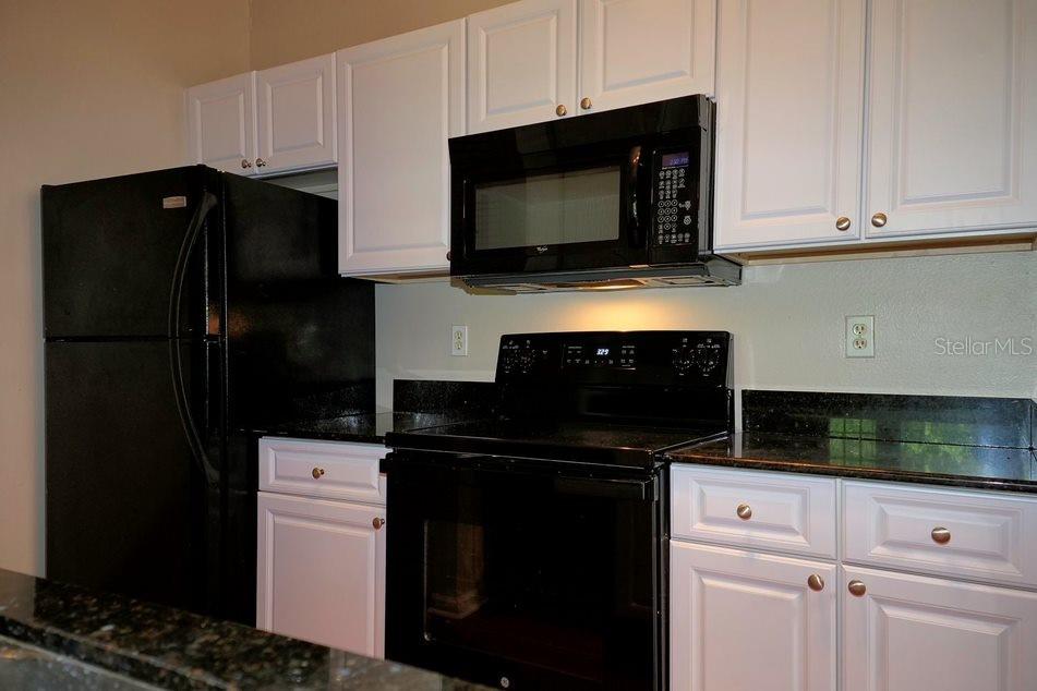 14353 FREDRICKSBURG DRIVE 914