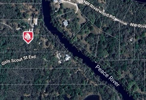 1991 NW GIRL SCOUT ROAD ARCADIA FL 34266