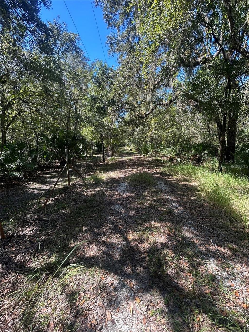 Photo of 1991 NW Girl Scout Road, Arcadia, FL 34266 (MLS # A4676552)