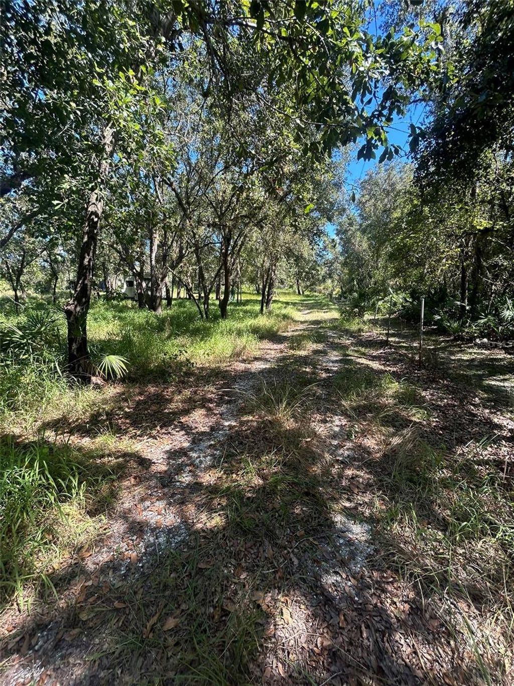 Photo of 1991 NW Girl Scout Road, Arcadia, FL 34266 (MLS # A4676552)