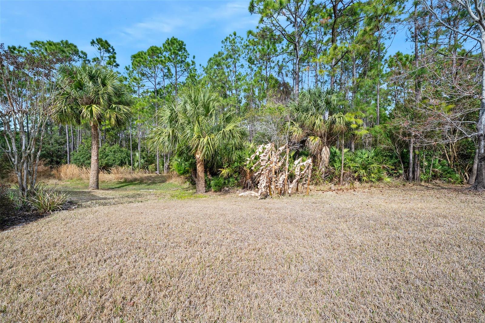 CHELSEA PLACE PH 01 - Residential