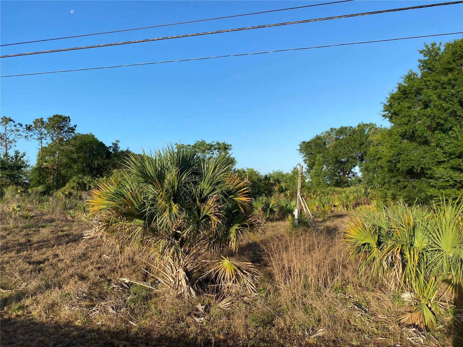 1403 US HIGHWAY 27