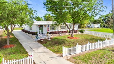 111 MARK AVENUE LADY LAKE FL 32159