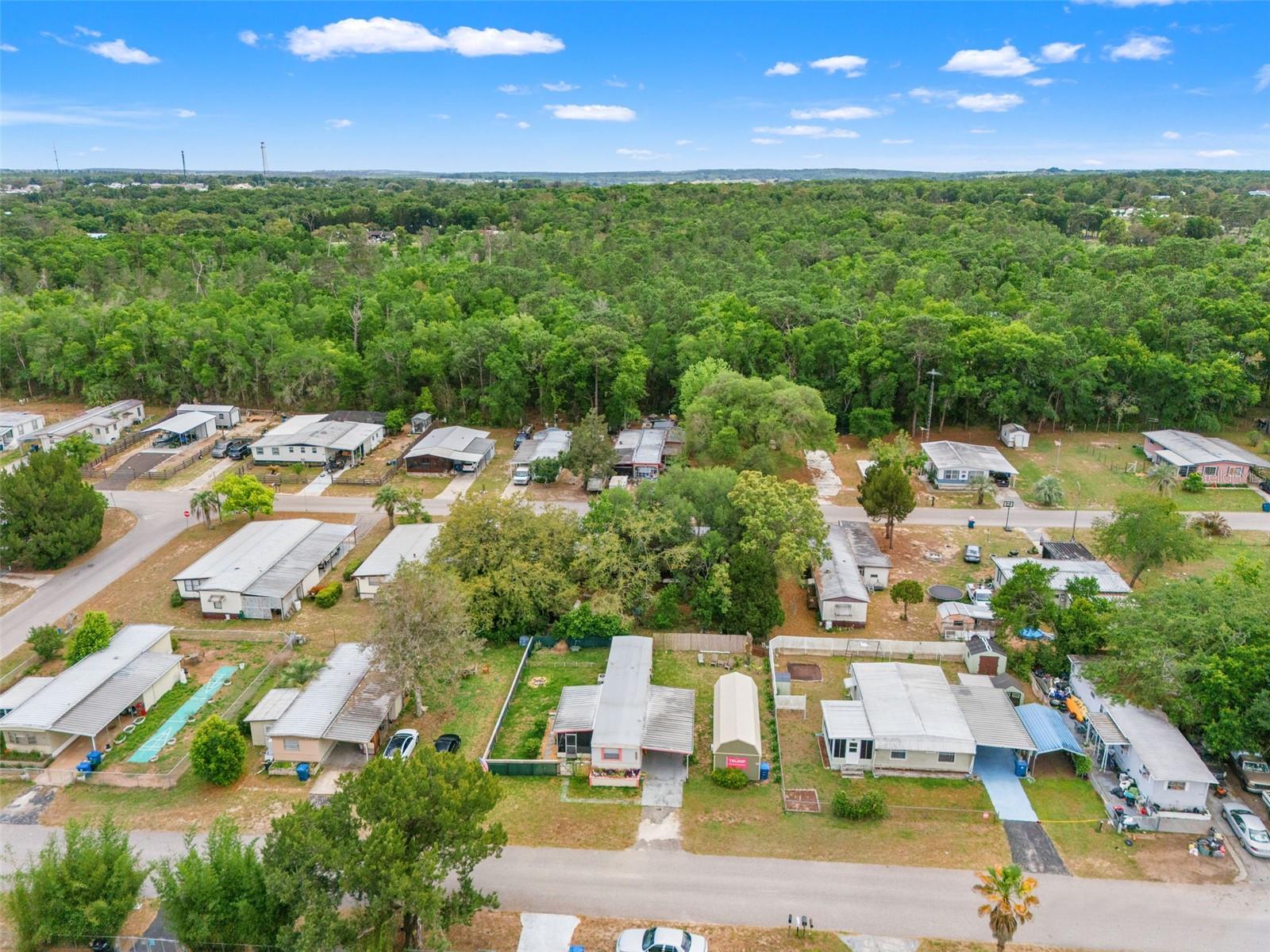 29176 HECKLEMAN STREET