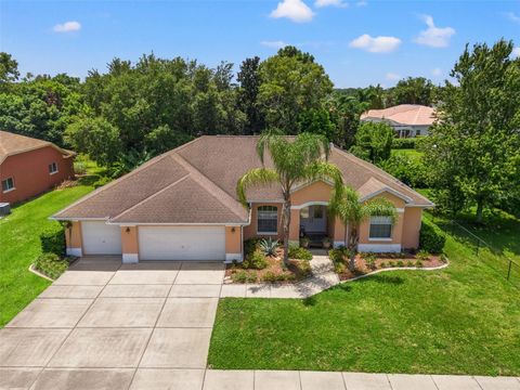 A home in SPRING HILL