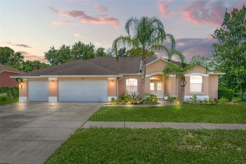 A home in SPRING HILL