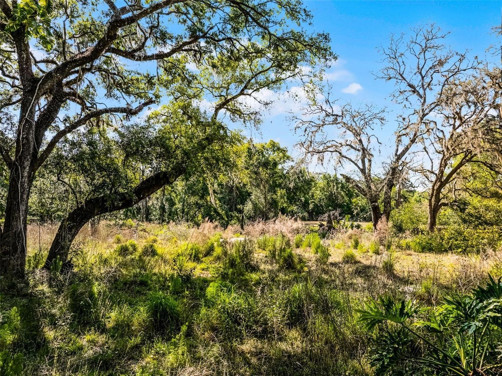 Photo of 3633 Panther Path Road, Lutz, FL 33559 (MLS # G5119529)