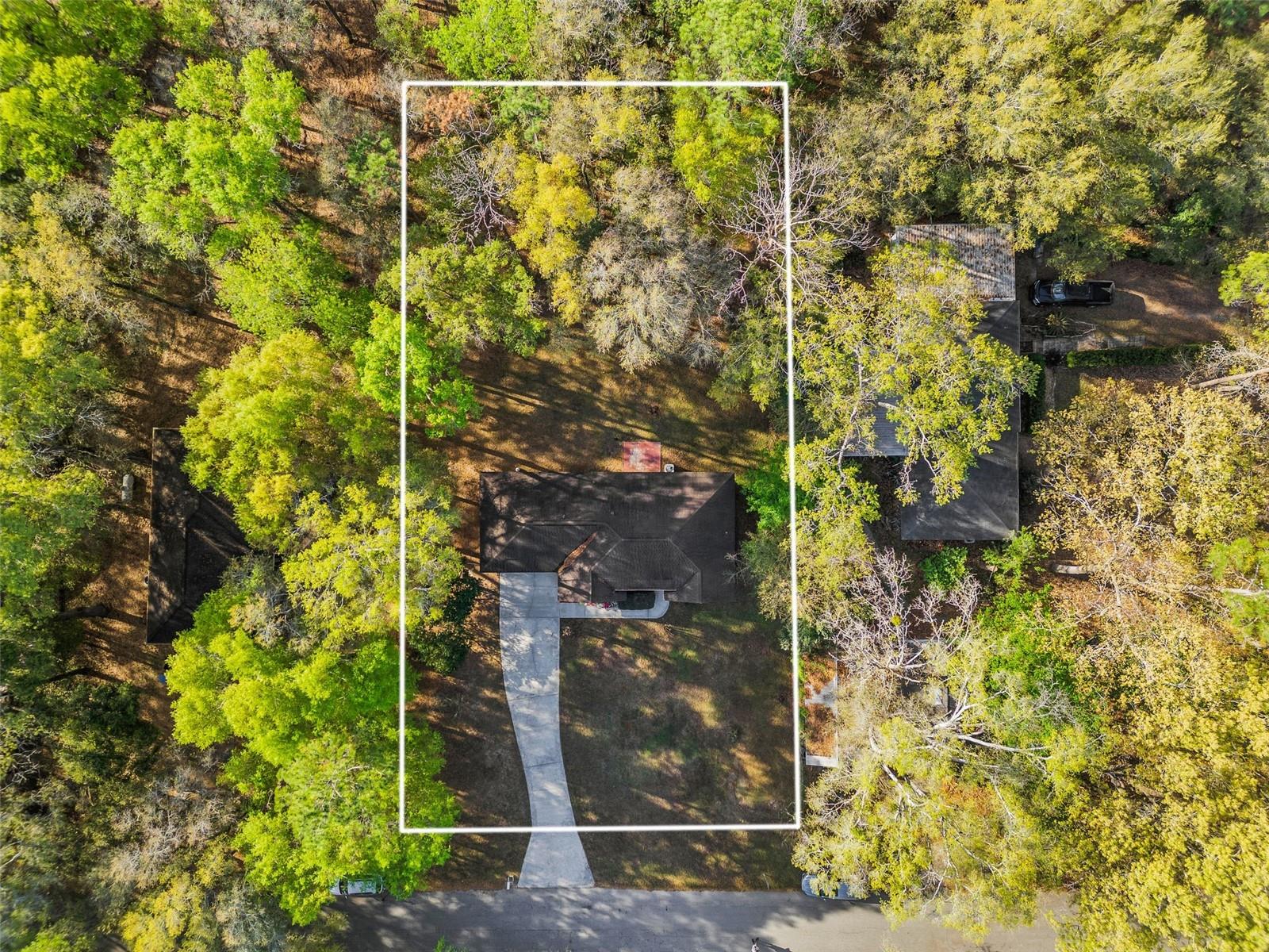 PILOT FOREST - Residential