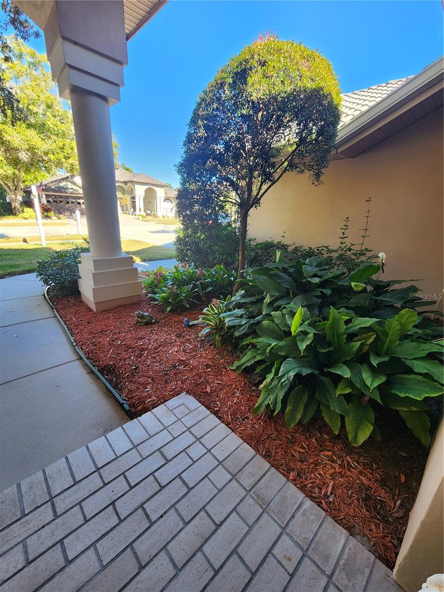 OLD HARBOR PLACE - Residential