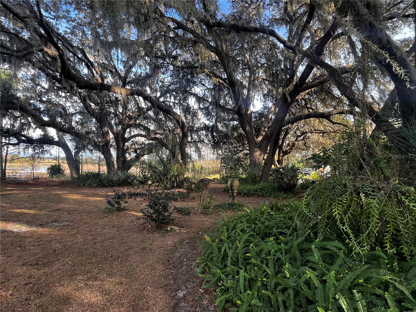 GROVELAND FARMS 34-22-24 - Residential