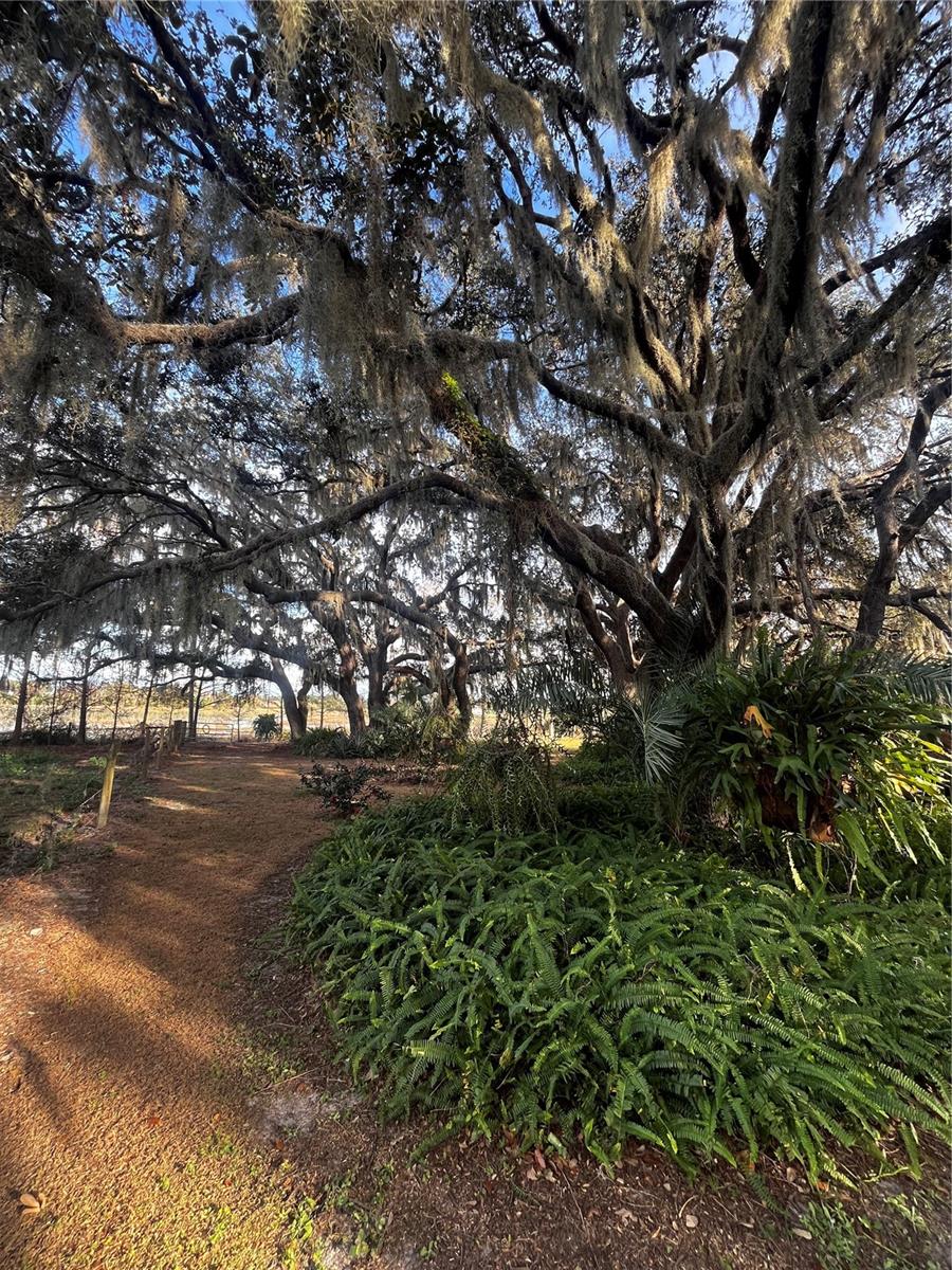 GROVELAND FARMS 34-22-24 - Residential